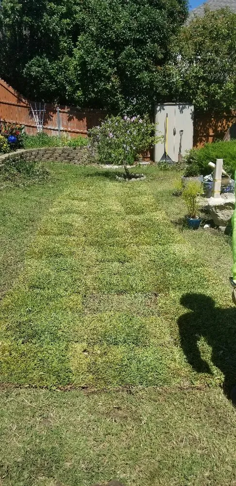 Custom landscape design with custom design across Irving, TX - A+ Landscaping