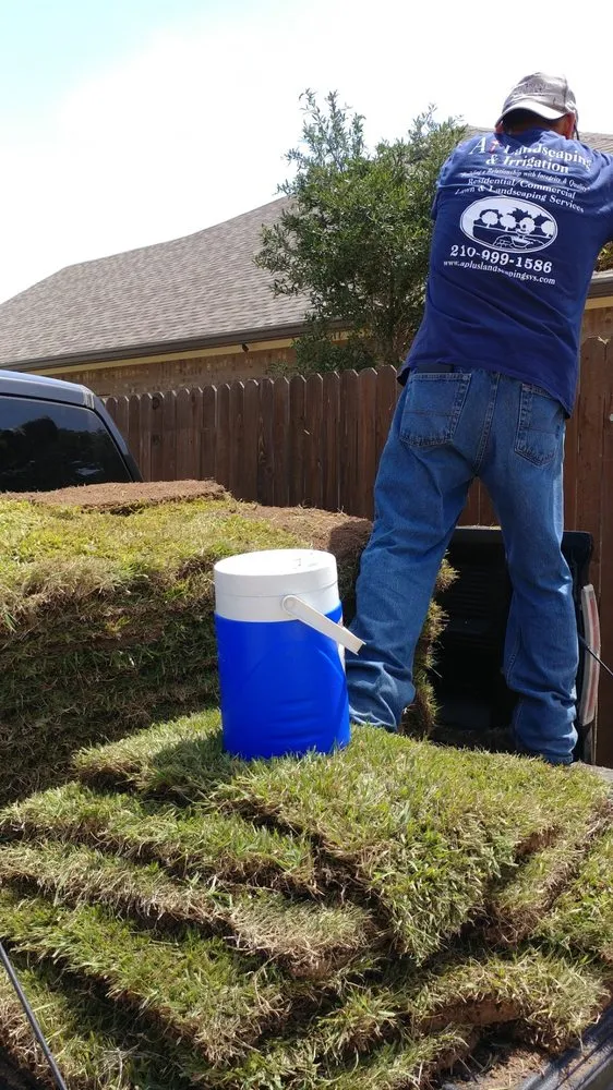 Expert yard maintenance in Irving, TX - A+ Landscaping