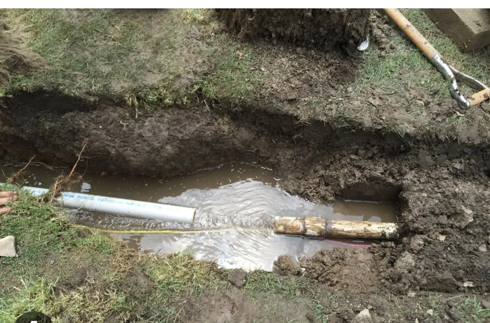 Expert garden landscaping experts serving Jurupa Valley, CA - A+ Landscaping