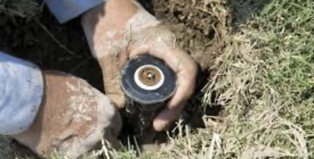 Expert outdoor landscaping with custom design across Jurupa Valley, CA - A+ Landscaping