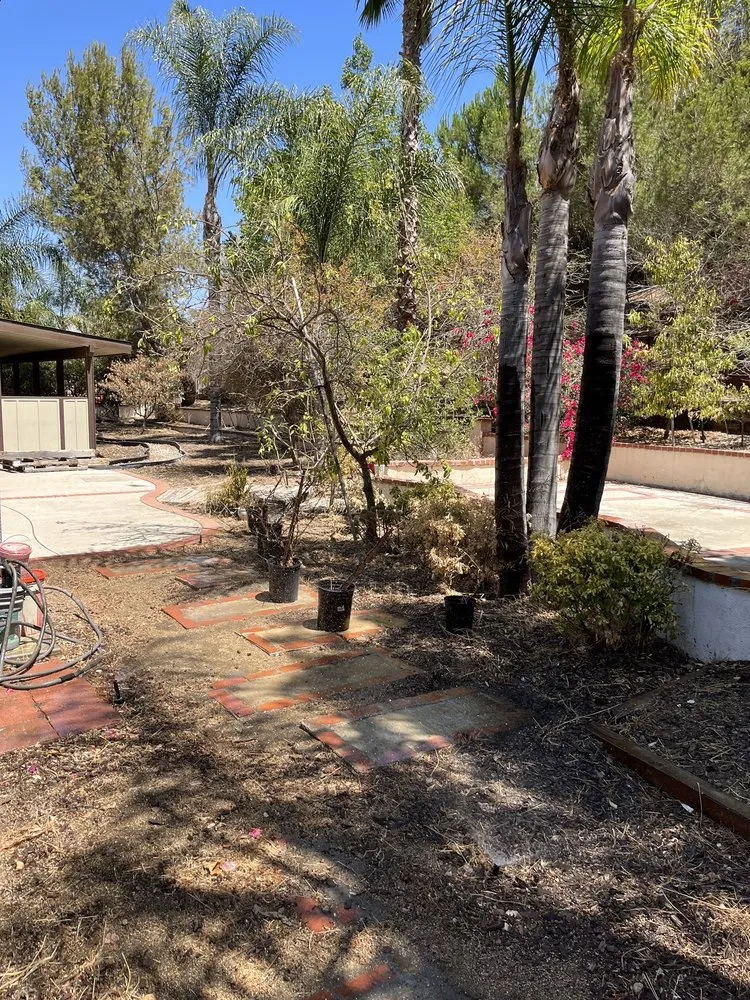 Affordable lawn mowing service in Jurupa Valley, CA by A+ Landscaping