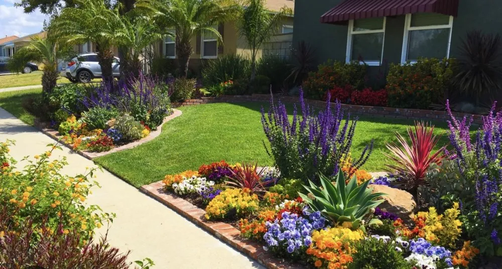 Custom residential landscaping for year-round maintenance across Jurupa Valley, CA - A+ Landscaping