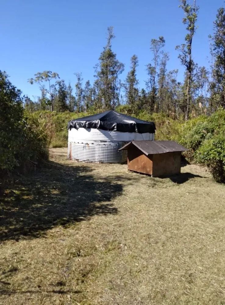 Expert landscaping services with custom design in Keaau, HI by A+ Landscaping