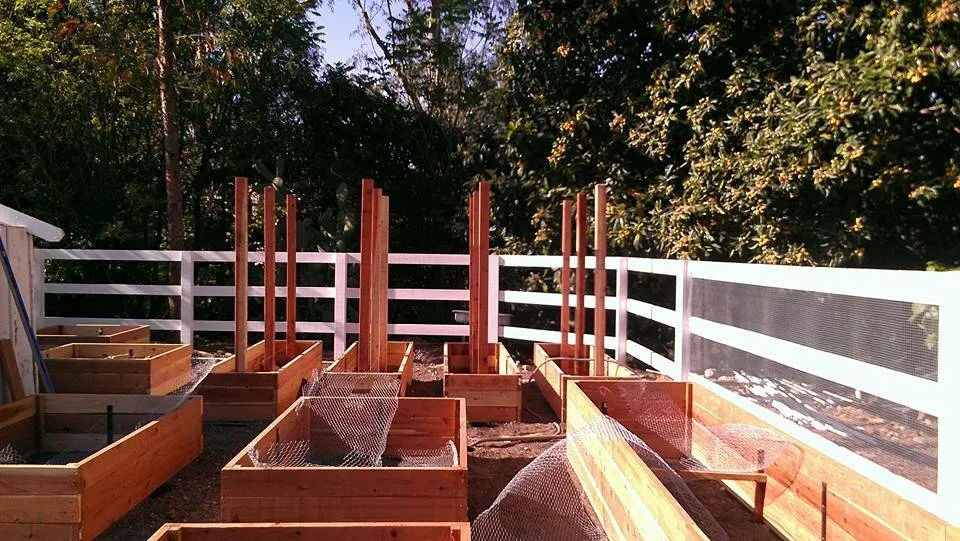 Expert lawn mowing service for residential properties across Long Beach, CA - A+ Landscaping