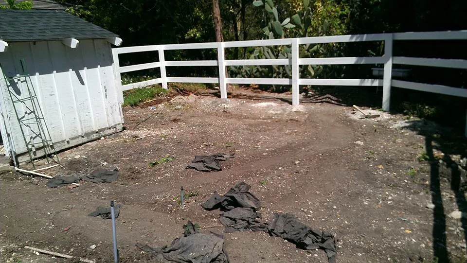 Professional residential landscaping with custom design in Long Beach, CA by A+ Landscaping