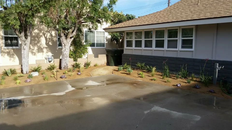 Professional outdoor landscaping in Long Beach, CA by A+ Landscaping