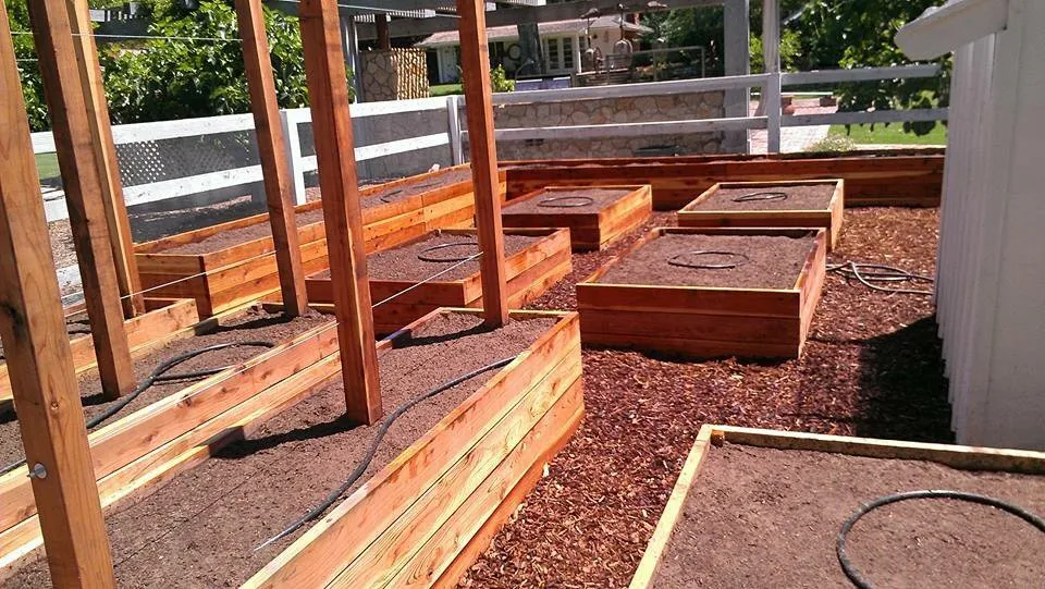 Local residential landscaping experts serving Long Beach, CA - A+ Landscaping