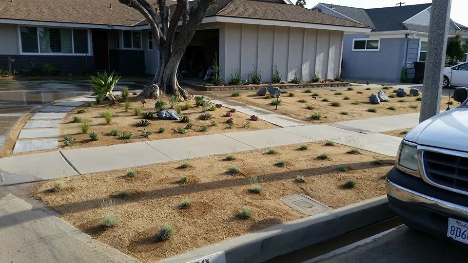 Affordable outdoor landscaping experts serving Long Beach, CA - A+ Landscaping