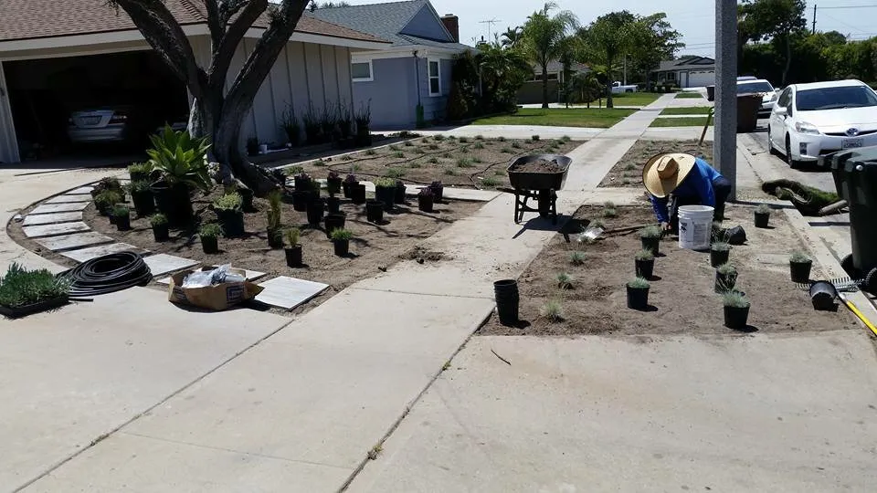 Local landscaping services for year-round maintenance across Long Beach, CA - A+ Landscaping