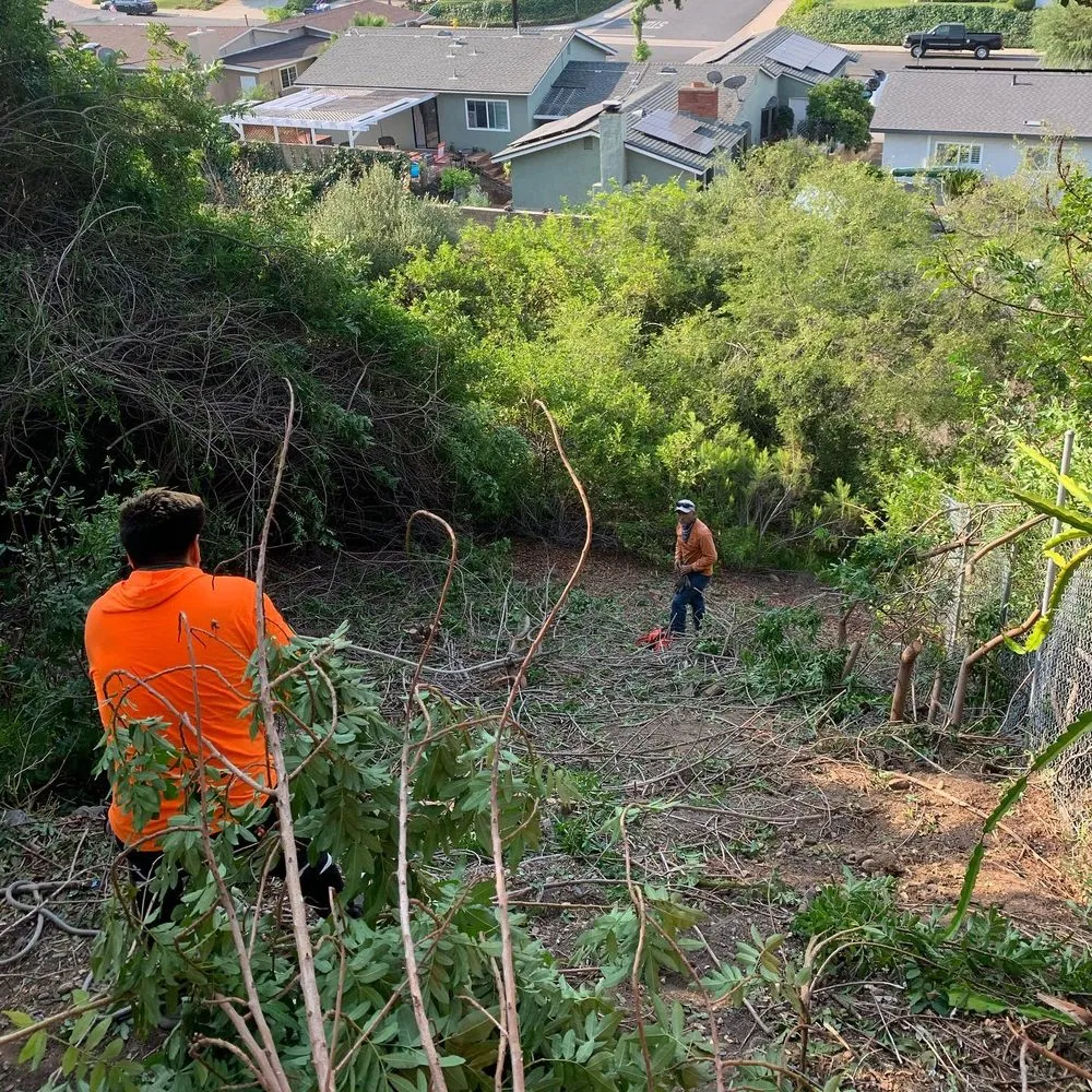 Trusted lawn mowing service in Spring Valley, CA by A+ Landscaping Solution