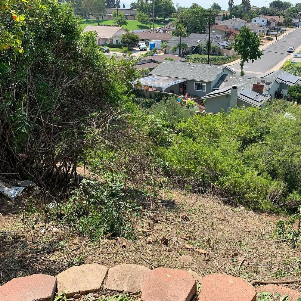 Local garden landscaping experts serving Spring Valley, CA - A+ Landscaping Solution