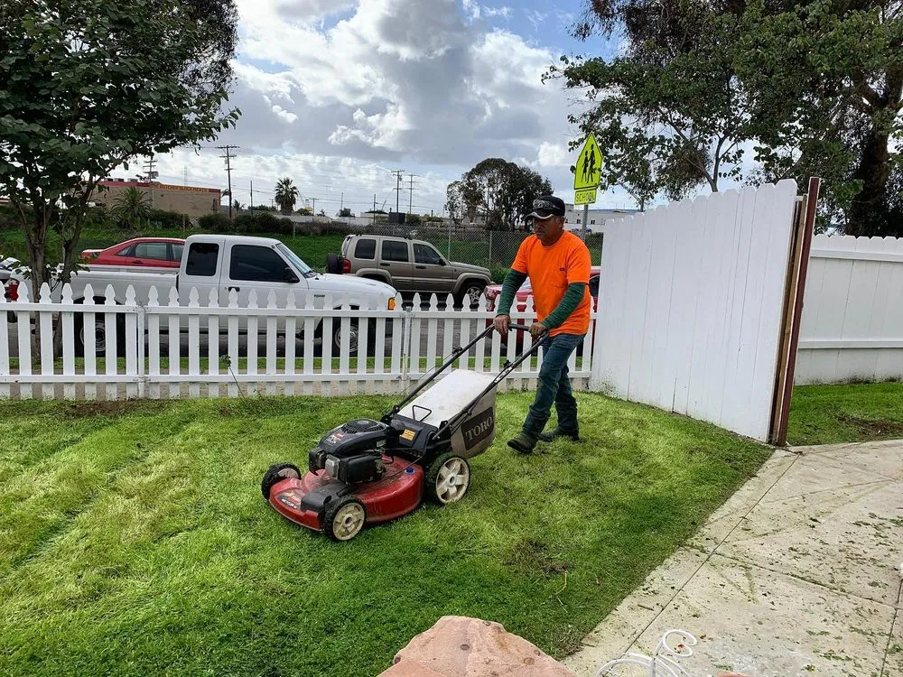 Trusted landscape installation with custom design across Spring Valley, CA - A+ Landscaping Solution