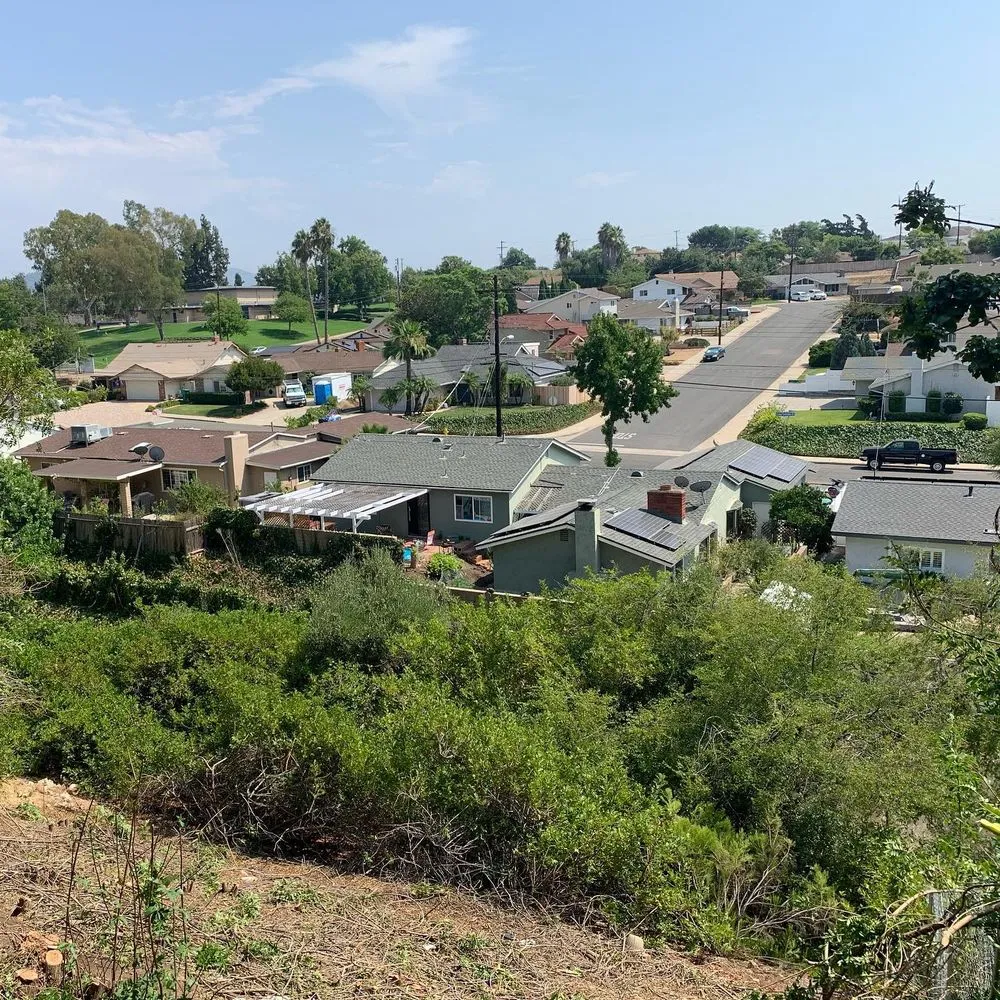 Local yard cleanup service in Spring Valley, CA by A+ Landscaping Solution
