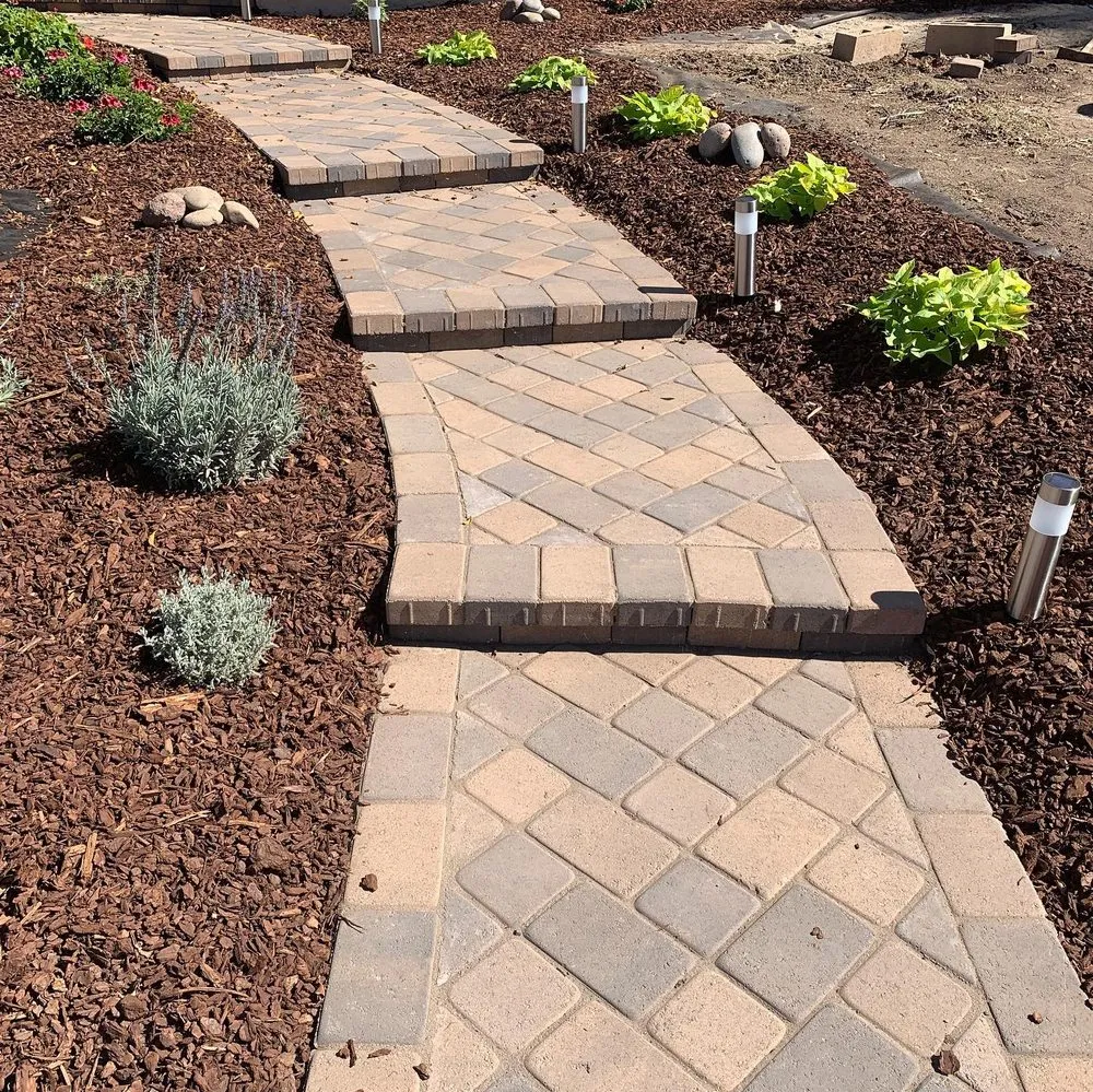 Top-rated landscape installation for year-round maintenance across Spring Valley, CA - A+ Landscaping Solution