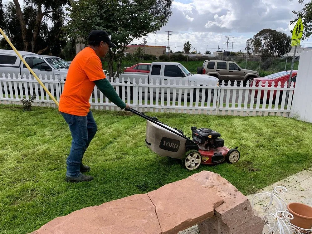 Custom garden landscaping in Spring Valley, CA - A+ Landscaping Solution