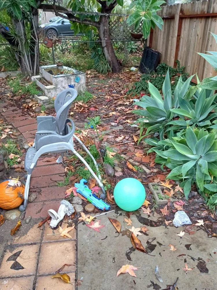 Trusted landscaping services experts serving Spring Valley, CA - A+ Landscaping Solution