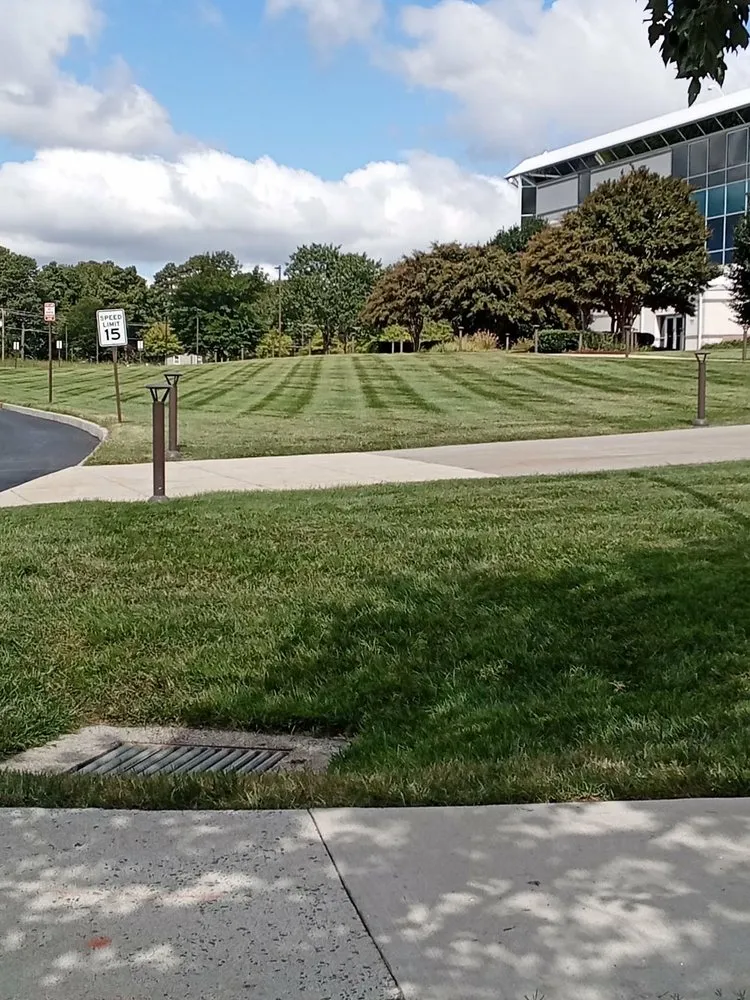 Expert outdoor landscaping near you in Stanardsville, VA by A+ Landscaping