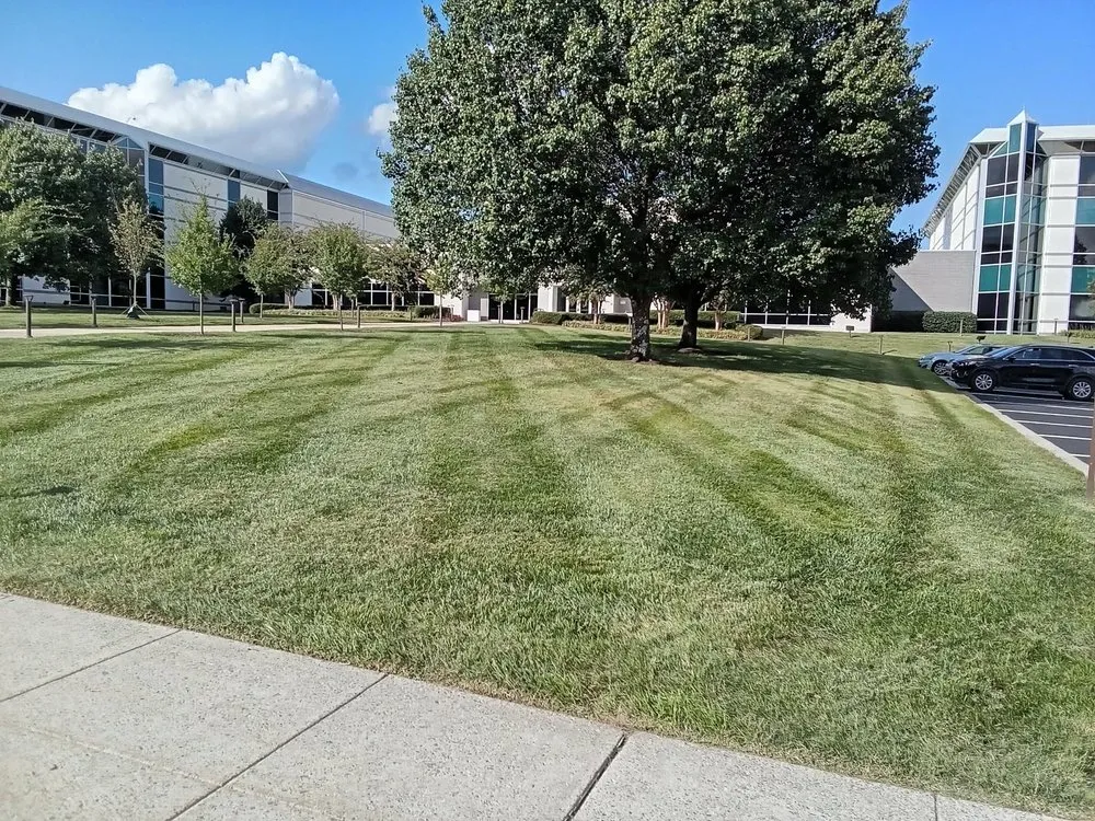 Custom landscape design for residential properties in Stanardsville, VA by A+ Landscaping
