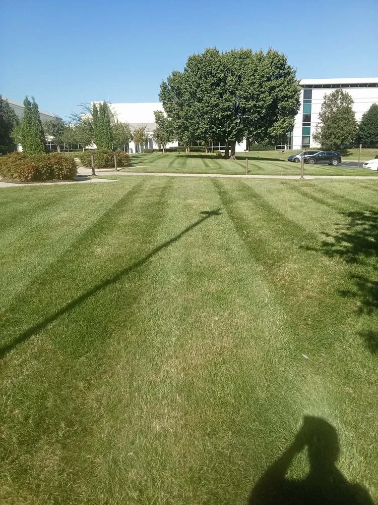 Custom outdoor landscaping in Stanardsville, VA - A+ Landscaping