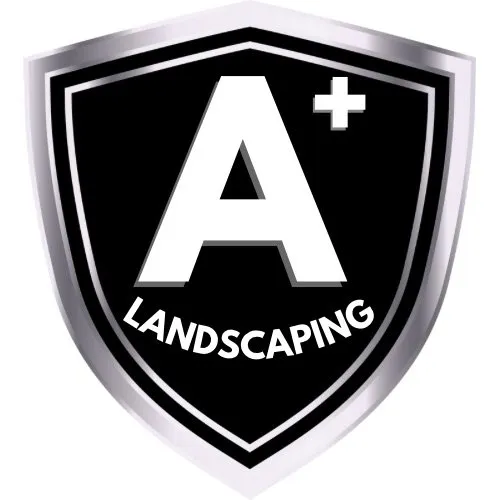 Reliable yard cleanup service in Travelers Rest, SC - A+ Landscaping