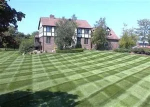 Local yard cleanup service for year-round maintenance in Des Moines, IA by A+ Lawn & Landscape
