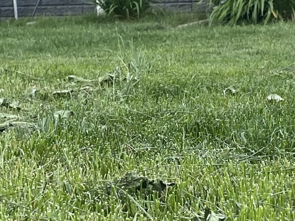 Professional residential landscaping for residential properties across Des Moines, IA - A+ Lawn & Landscape