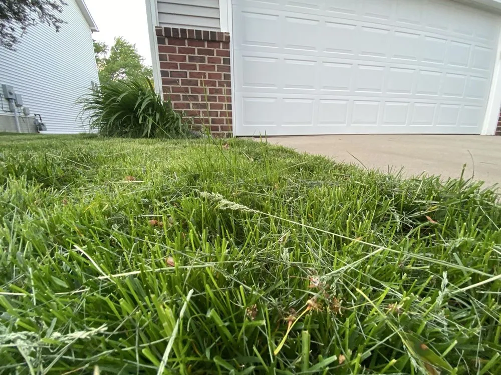 Reliable lawn care service in Des Moines, IA - A+ Lawn & Landscape