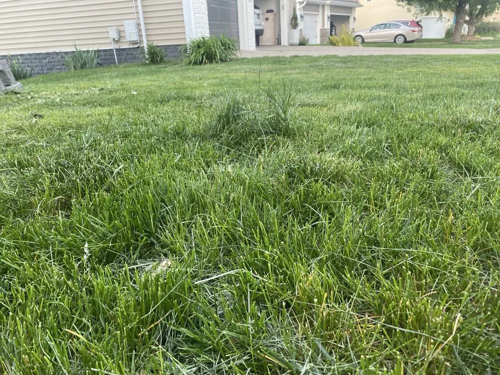 Top-rated residential landscaping with custom design across Des Moines, IA - A+ Lawn & Landscape