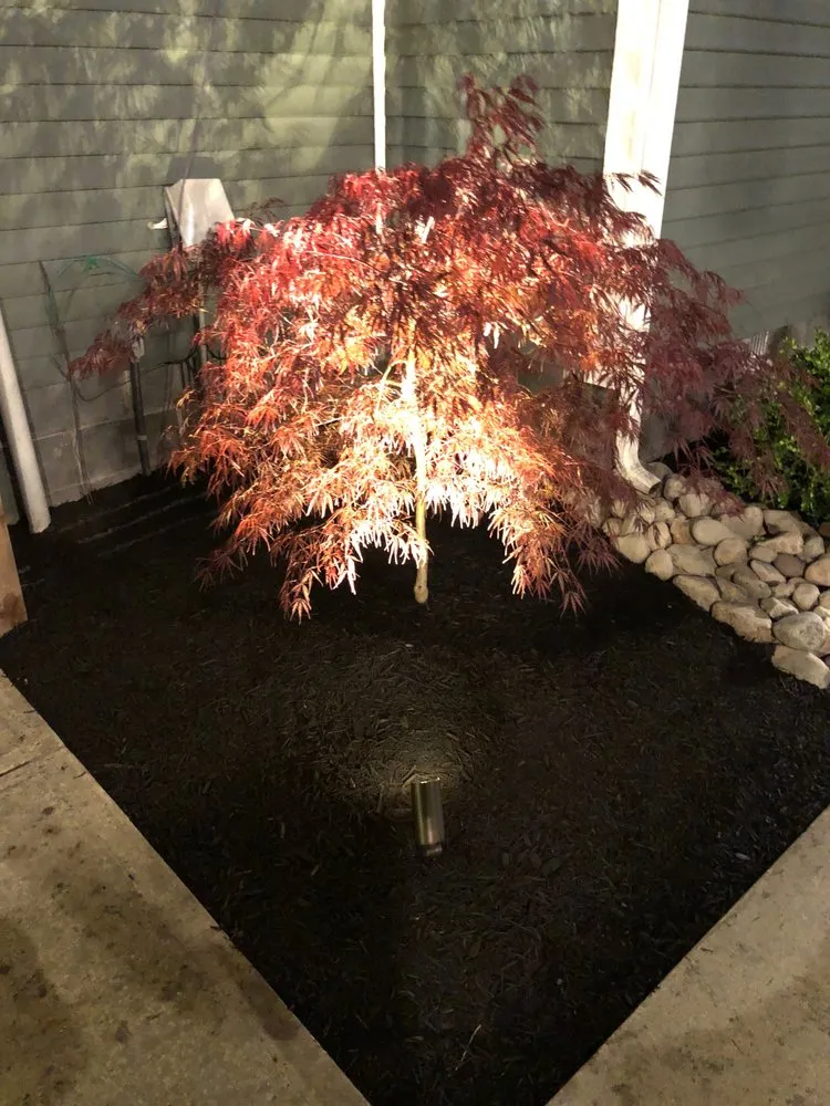 Local landscape installation in Salisbury, MD by A+ Lawn & Landscaping