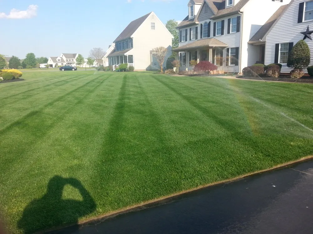 Professional yard cleanup service experts serving Salisbury, MD - A+ Lawn & Landscaping
