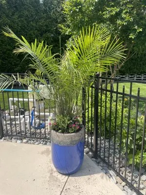 A+ Lawn & Landscaping