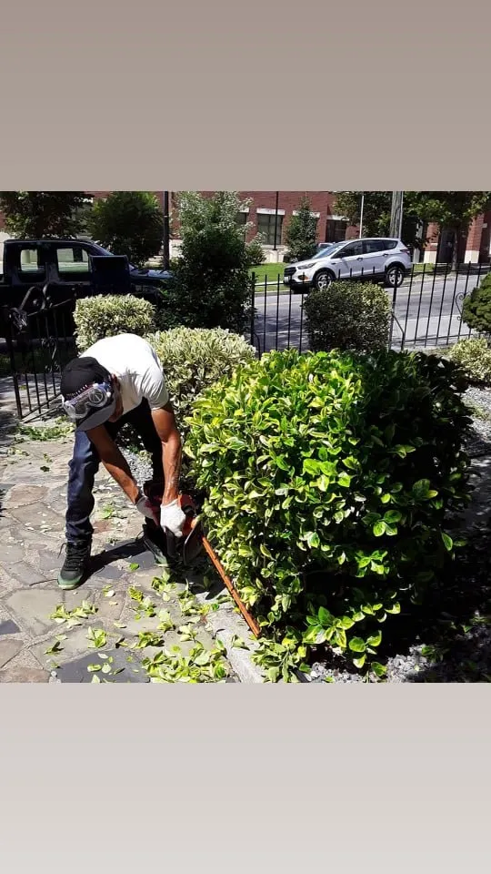 Local lawn mowing service with custom design across District Heights, MD - A Lawn 2 Remember