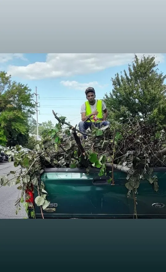 Expert yard maintenance in District Heights, MD - A Lawn 2 Remember