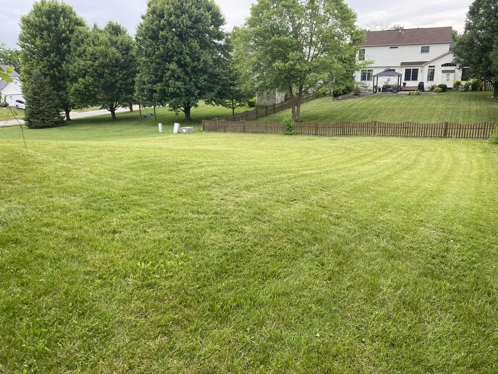 Reliable yard cleanup service experts serving Lancaster, OH - A Lawn care