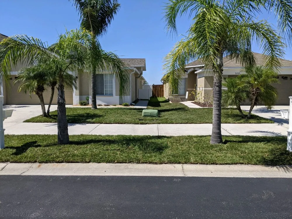 Expert landscaping services experts serving Wesley Chapel, FL - A+ Lawn Care Service