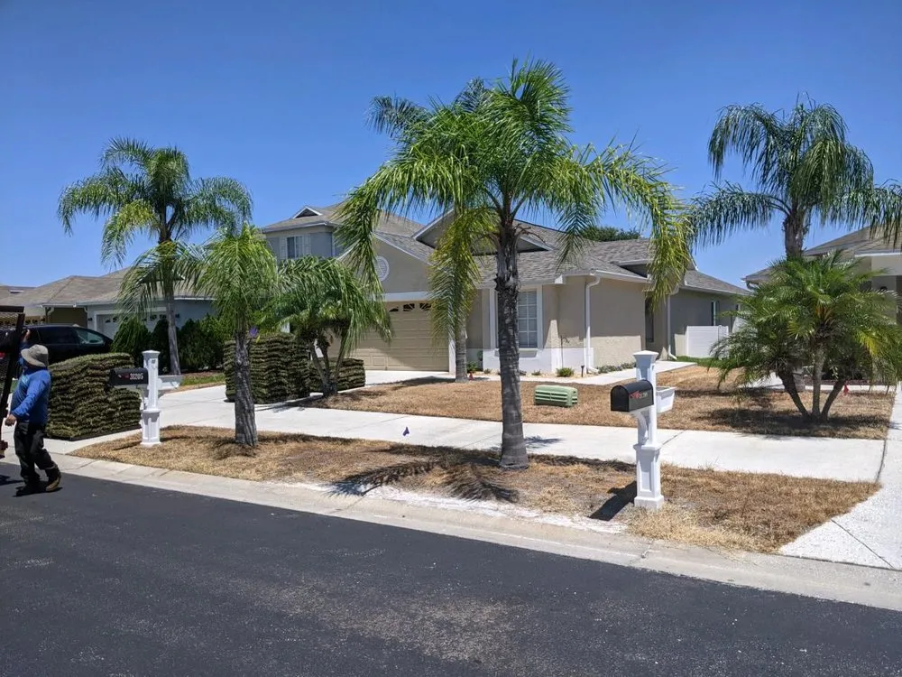 Affordable residential landscaping for beautiful yards in Wesley Chapel, FL by A+ Lawn Care Service