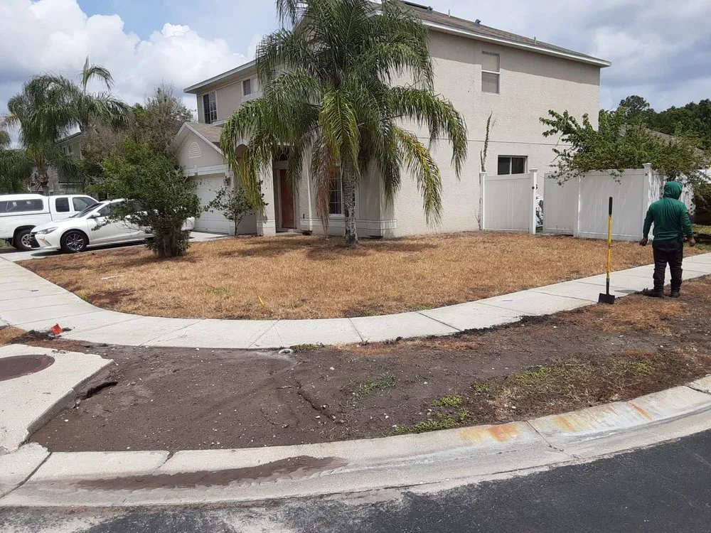 Expert landscaping services experts serving Wesley Chapel, FL - A+ Lawn Care Service