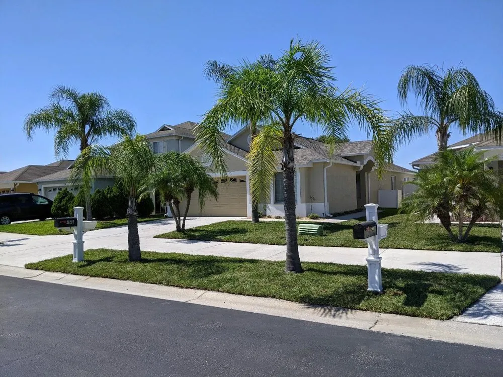 Custom yard maintenance in Wesley Chapel, FL by A+ Lawn Care Service