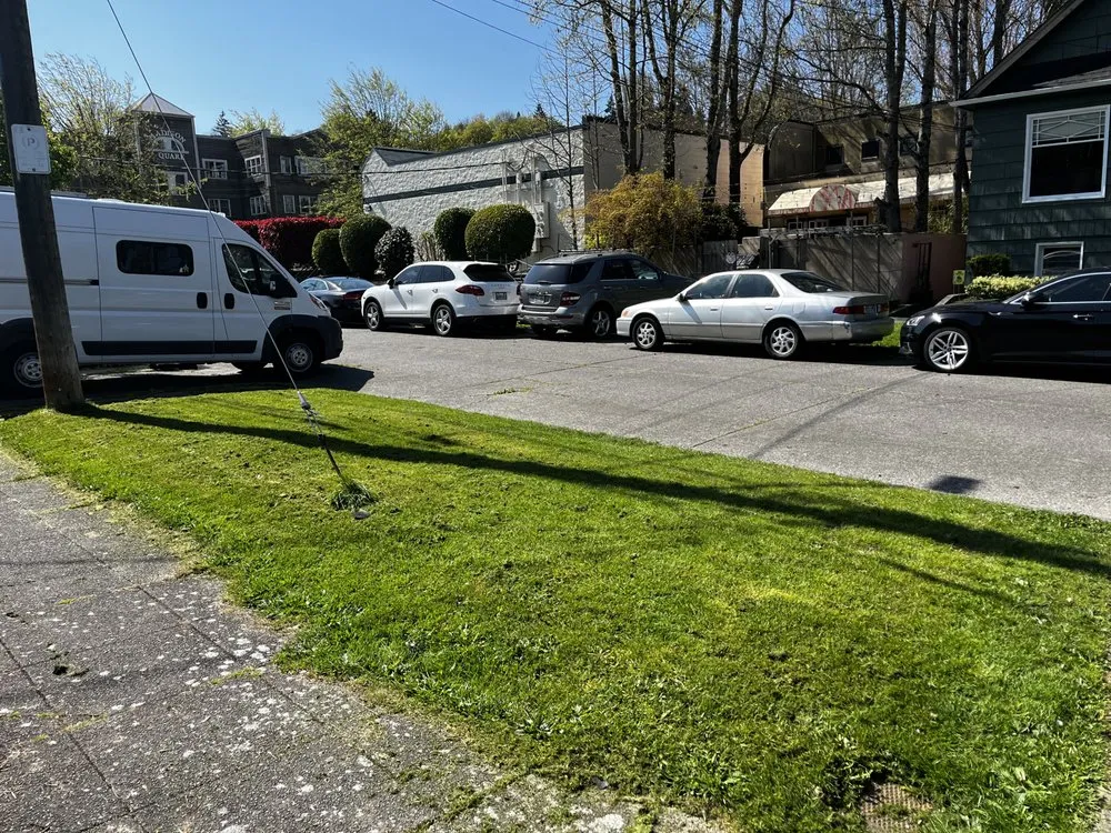 Professional yard cleanup service for residential properties in Seattle, WA by A Lawn More