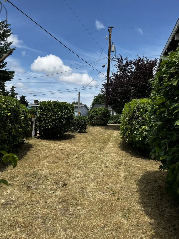 Trusted yard maintenance in Seattle, WA - A Lawn More