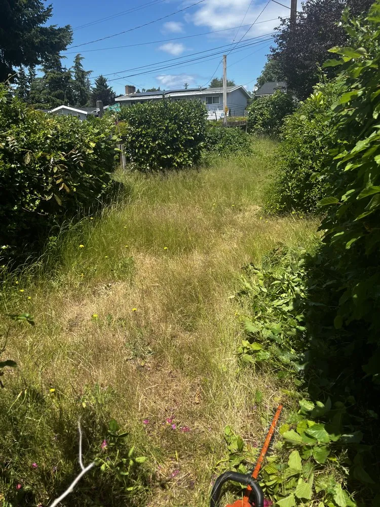 Trusted landscape installation in Seattle, WA by A Lawn More