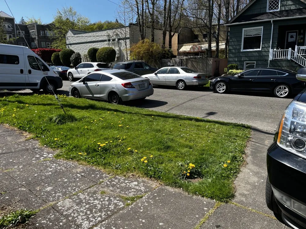 Expert yard cleanup service in Seattle, WA by A Lawn More