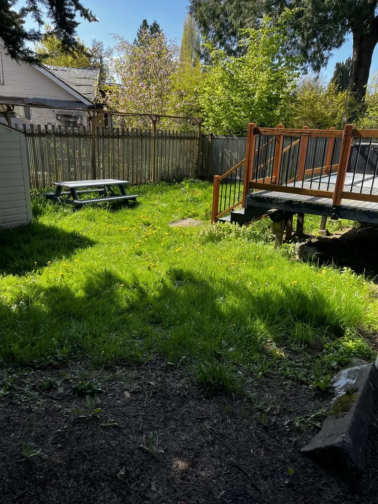 Custom landscape design experts serving Seattle, WA - A Lawn More