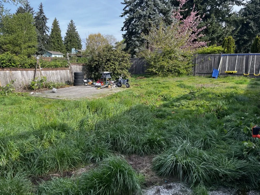 Trusted outdoor landscaping in Seattle, WA by A Lawn More