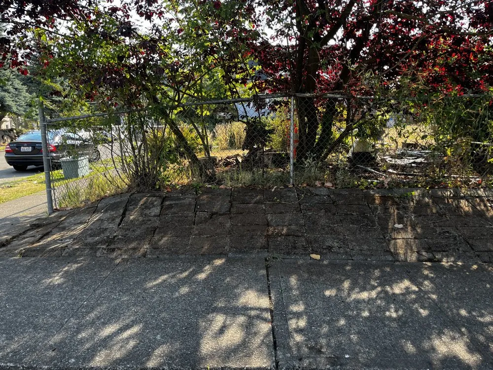 Affordable outdoor landscaping experts serving Seattle, WA - A Lawn More