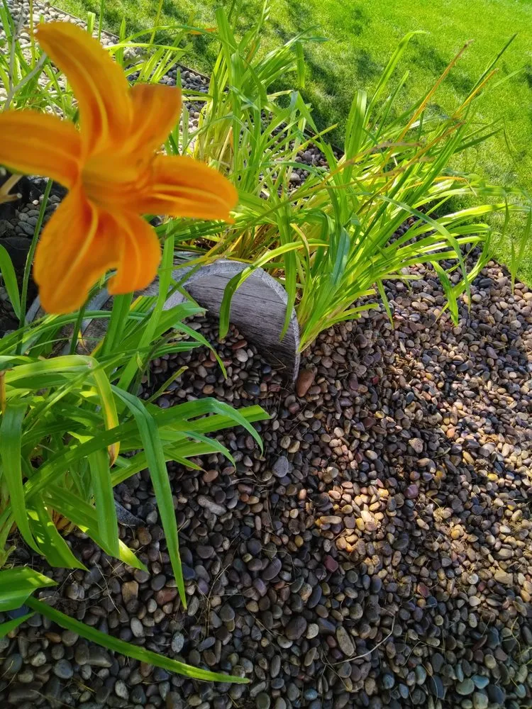 Trusted outdoor landscaping for homes across Iona, ID - A+ Lawn Pro