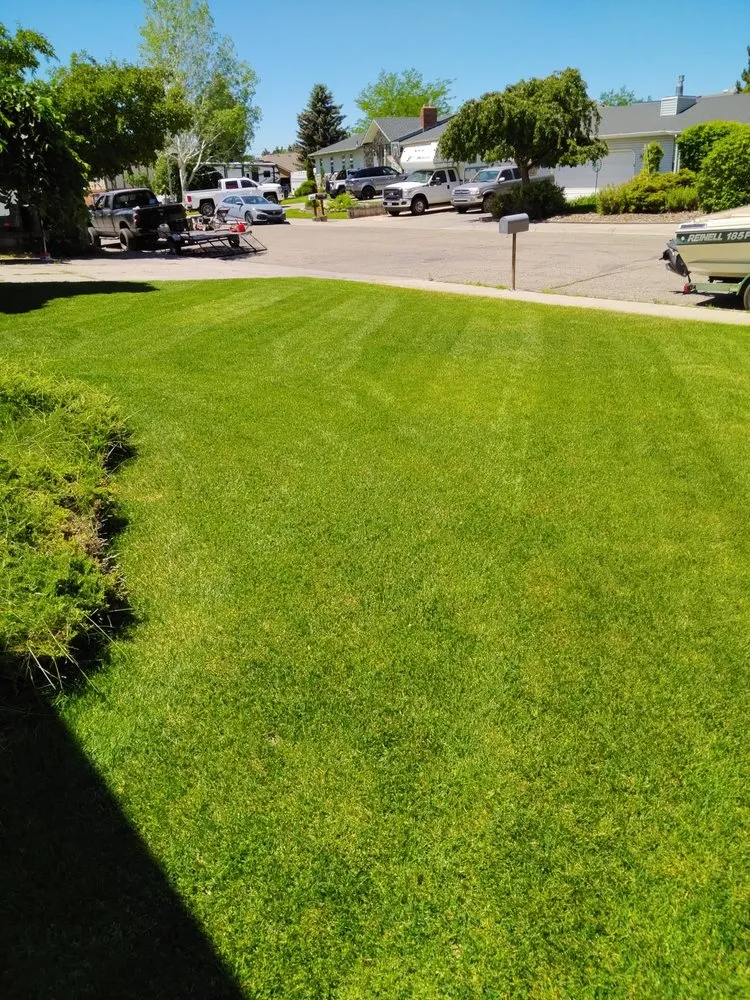 Local yard cleanup service in Iona, ID by A+ Lawn Pro