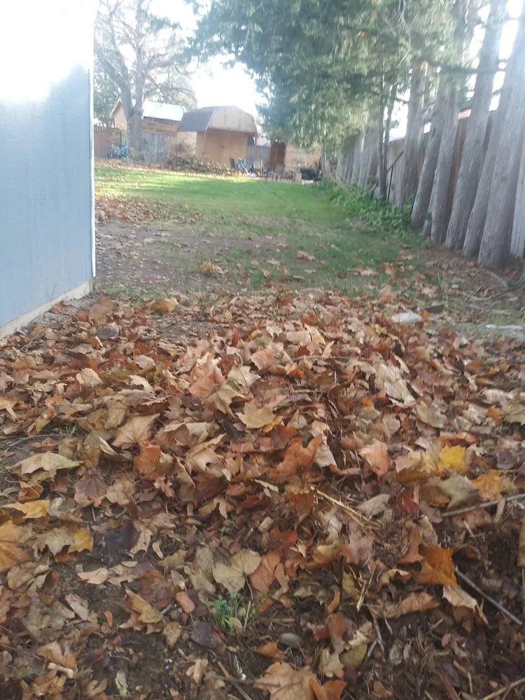 Trusted landscape installation in Iona, ID by A+ Lawn Pro