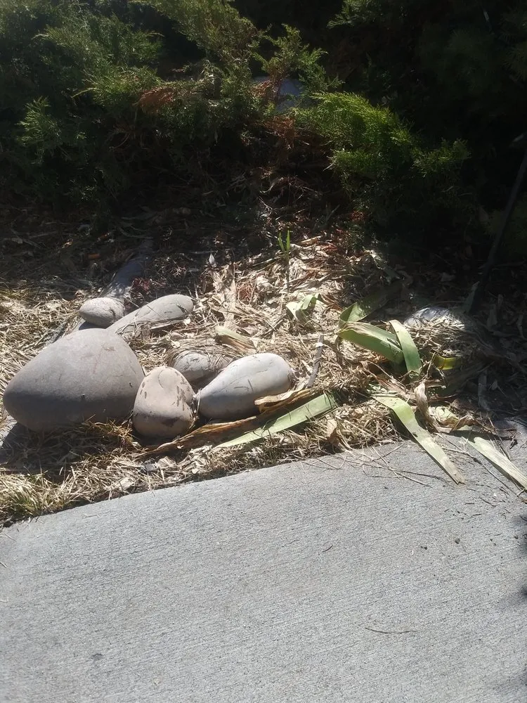 Reliable landscaping services experts serving Iona, ID - A+ Lawn Pro