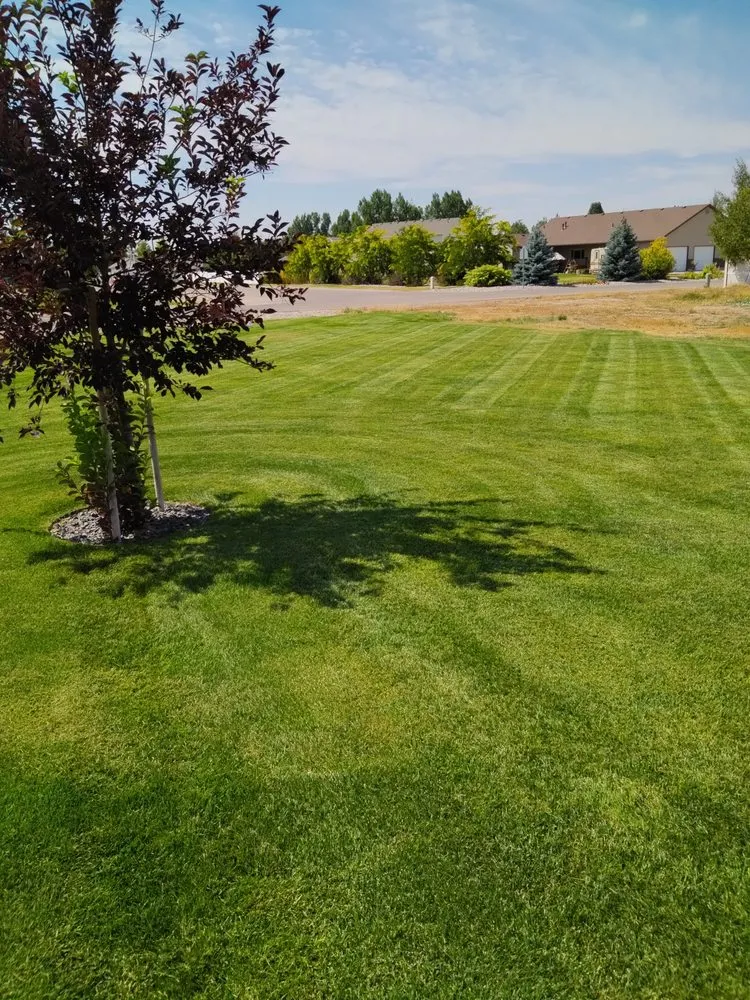 Reliable yard cleanup service for residential properties in Iona, ID by A+ Lawn Pro